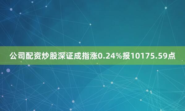 公司配资炒股深证成指涨0.24%报10175.59点
