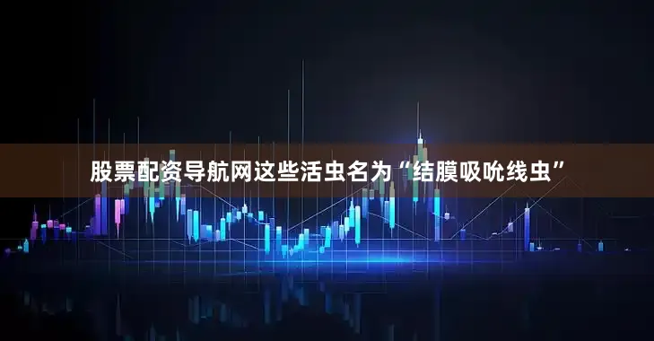 股票配资导航网这些活虫名为“结膜吸吮线虫”