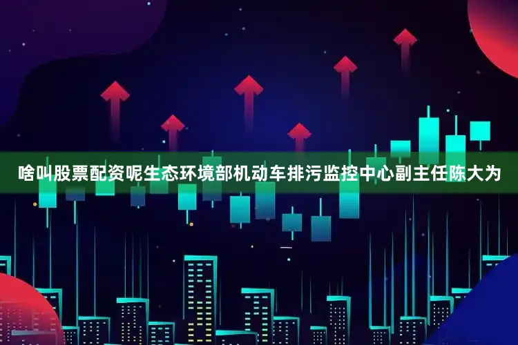 啥叫股票配资呢生态环境部机动车排污监控中心副主任陈大为