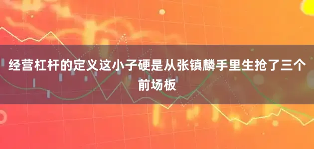 经营杠杆的定义这小子硬是从张镇麟手里生抢了三个前场板