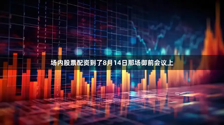 场内股票配资到了8月14日那场御前会议上
